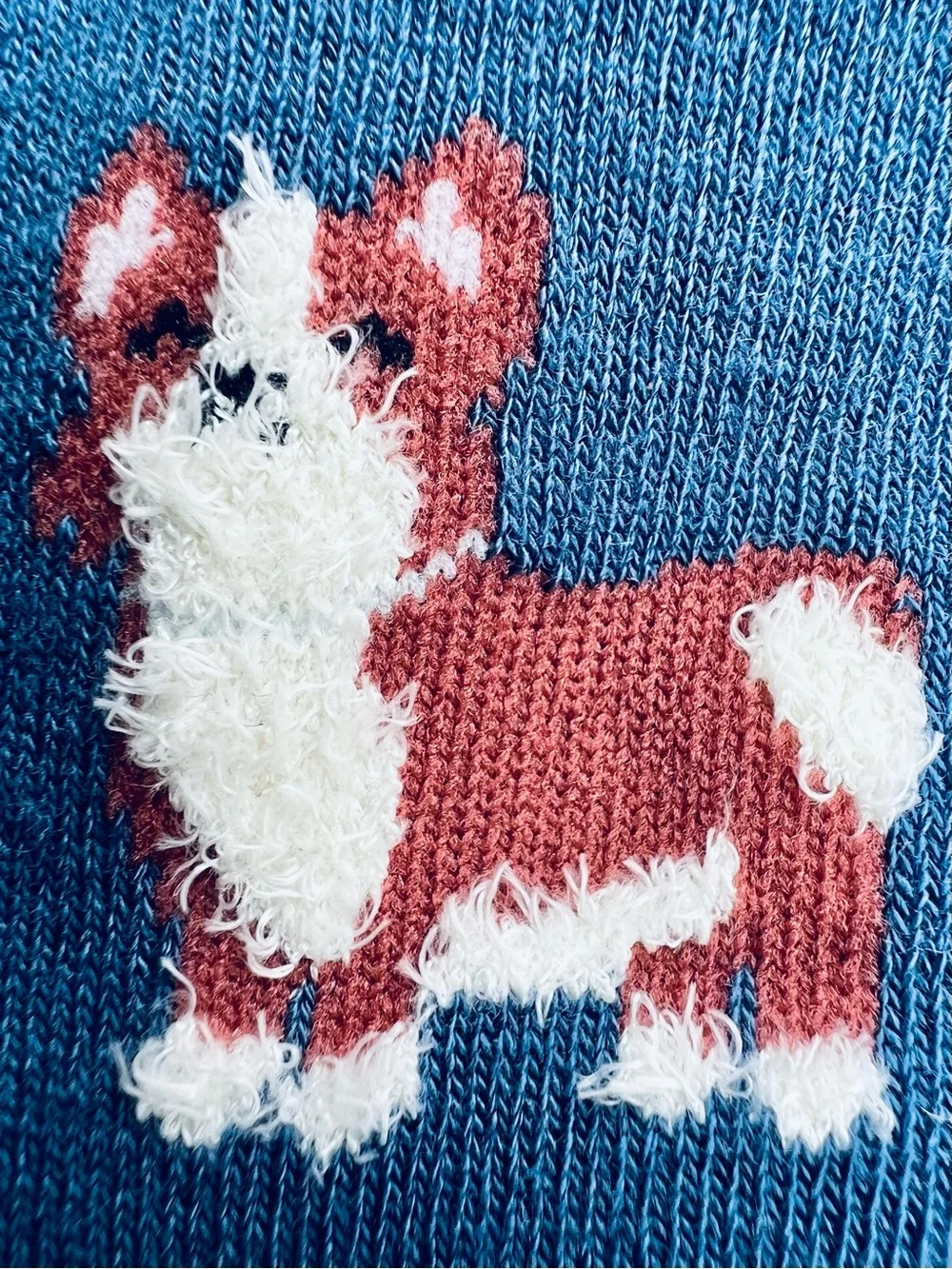 FREE PRESS LEGWEAR BLUE CREW SOCKS with CORGI DOGS